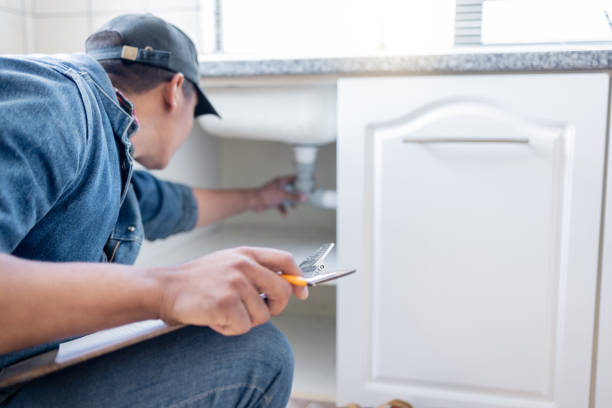 Best Leak Detection Services  in Williamson, WV