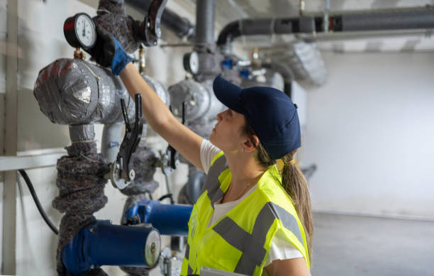 Best Clogged Drain Plumber  in Williamson, WV