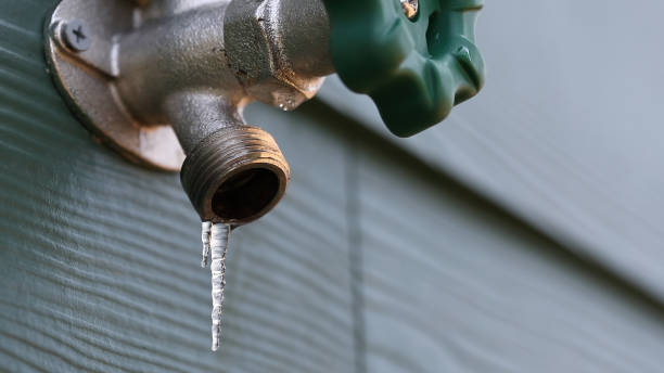 Best Shower Repair Services  in Williamson, WV