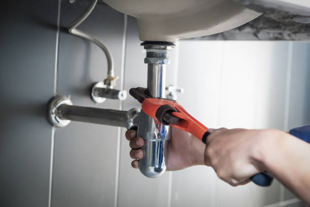 Best Plumbing Inspection Services  in Williamson, WV